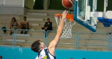 basket 20.20 roseto