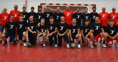 lions teramo handball