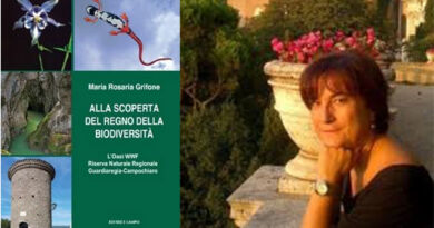 libro grifone