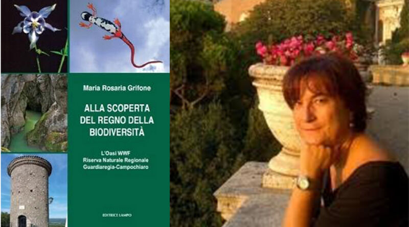 libro grifone