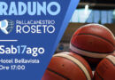 pallacanestro roseto