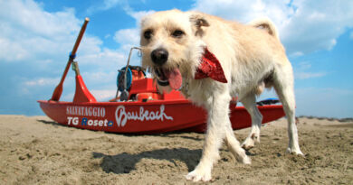 martinsicuro bau beach