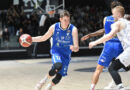 pallacanestro roseto