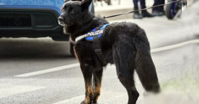 polizia teramo cane